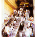 Escada rolante comercial com passo conduzido usado para o mercado de compras
